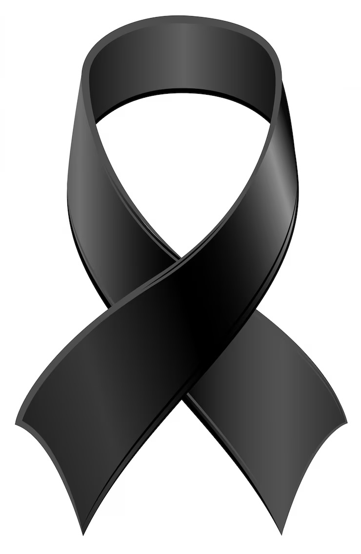 Hasta siempre, compañera