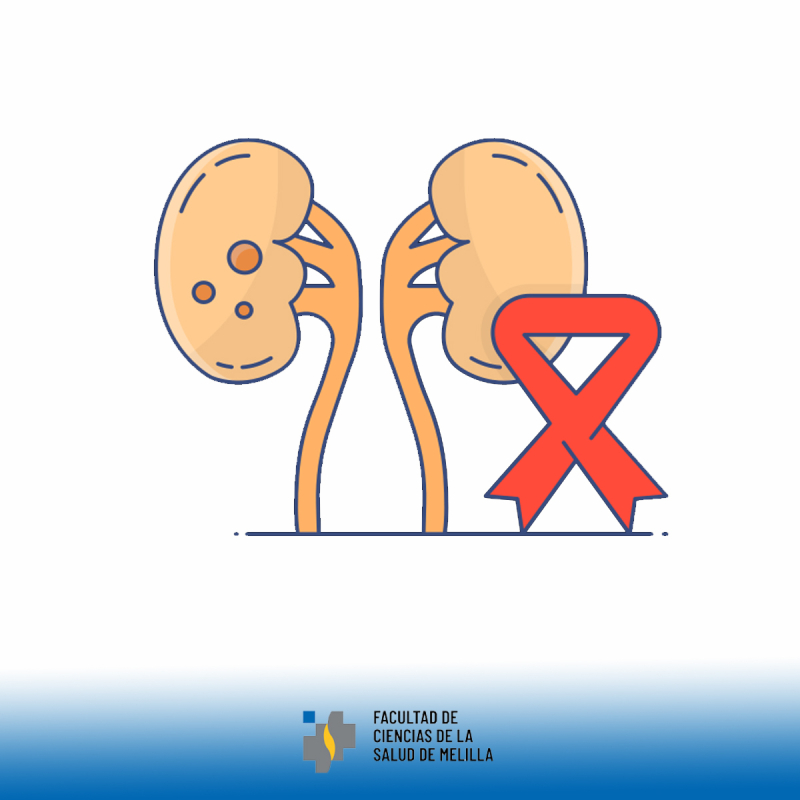 Día Mundial del Cáncer de Riñón Día Mundial del Cáncer de Riñón