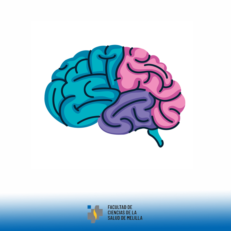 Día Mundial del Cerebro Día Mundial del Cerebro