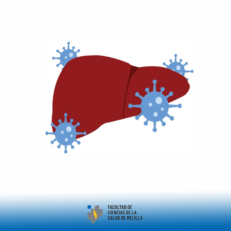 Día Mundial Contra La Hepatitis Día Mundial Contra La Hepatitis