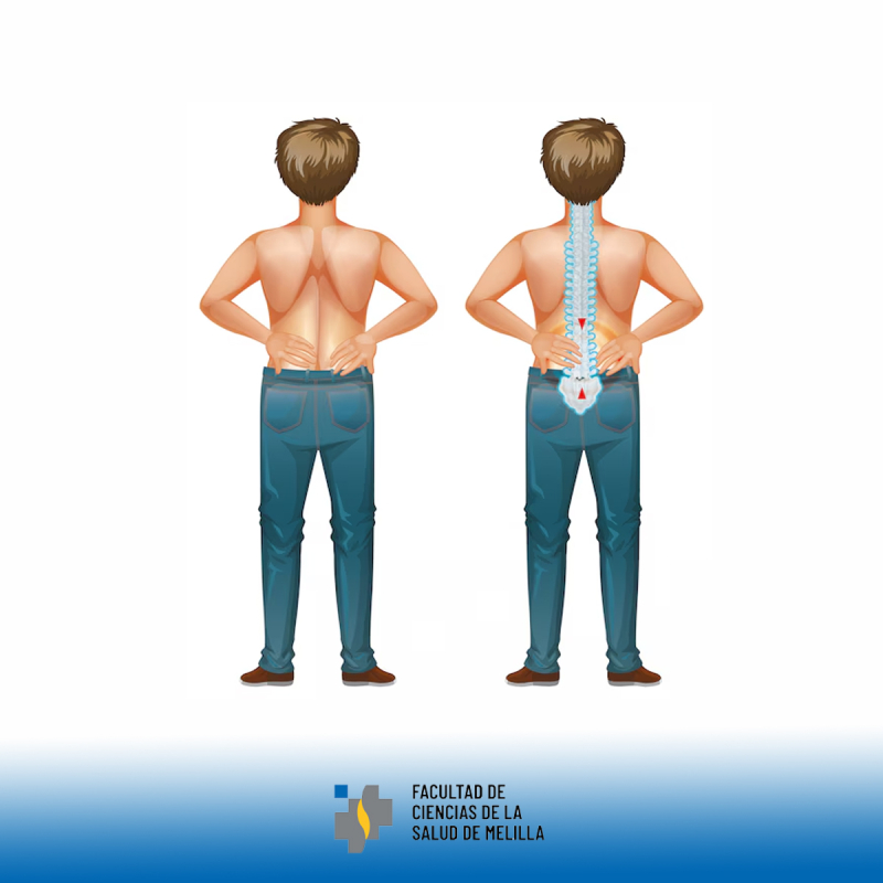 Día Internacional de la Concienciación sobre la Distrofia Muscular de Cinturas Día Internacional de la Concienciación sobre la Distrofia Muscular de Cinturas