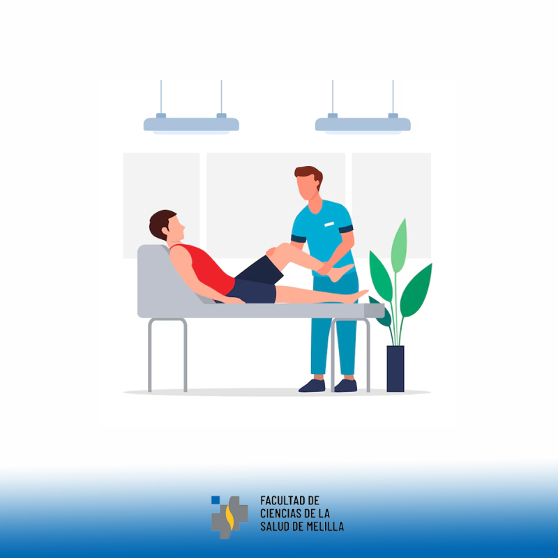 Día Mundial de la Fisioterapia Día Mundial de la Fisioterapia