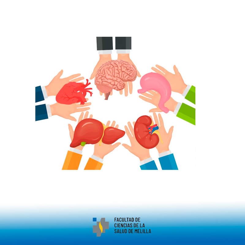 D铆a Mundial de la Donaci贸n de 脫rganos, Tejidos y Trasplantes D铆a Mundial de la Donaci贸n de 脫rganos, Tejidos y Trasplantes
