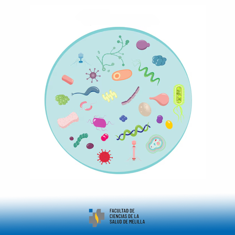 📅 DÃa Mundial del Microbioma 📅 DÃa Mundial del Microbioma