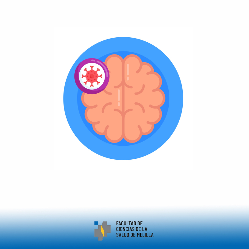 📅 Día Internacional de los Tumores Cerebrales – 8 de junio 📅 Día Internacional de los Tumores Cerebrales – 8 de junio